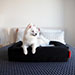 Dog laying in a pet bed